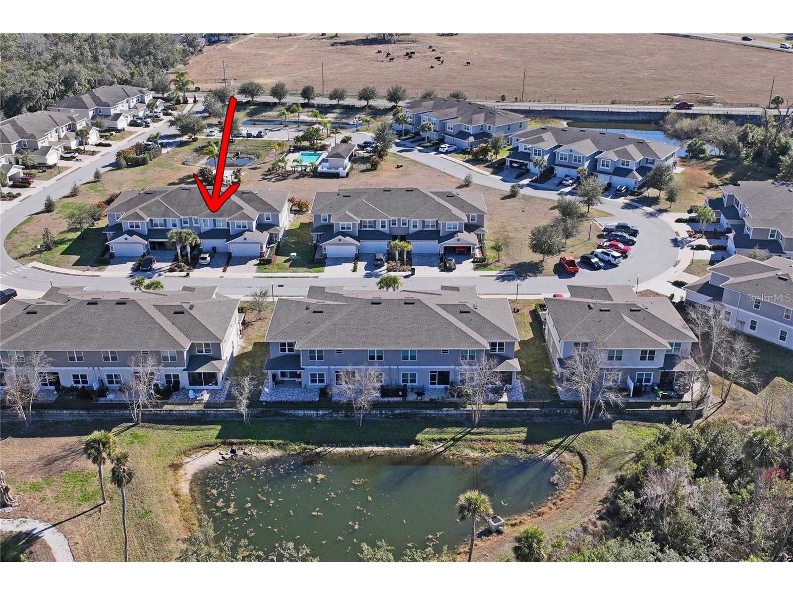5355 Riverwalk Preserve Drive New Port Richey FL 34653 W7887065 image57