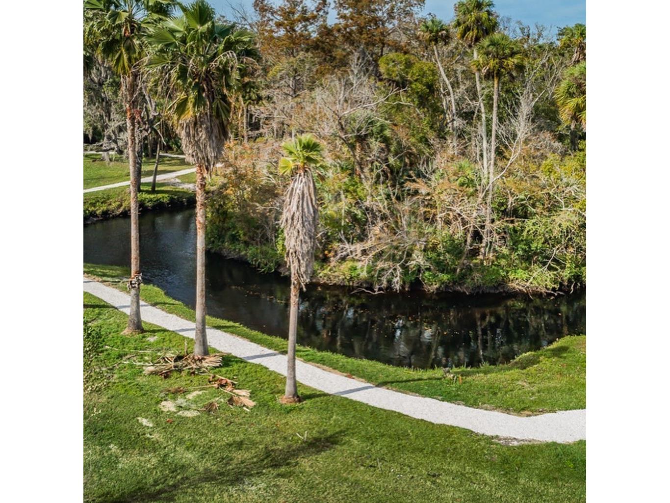 5355 Riverwalk Preserve Drive New Port Richey FL 34653 W7887065 image63