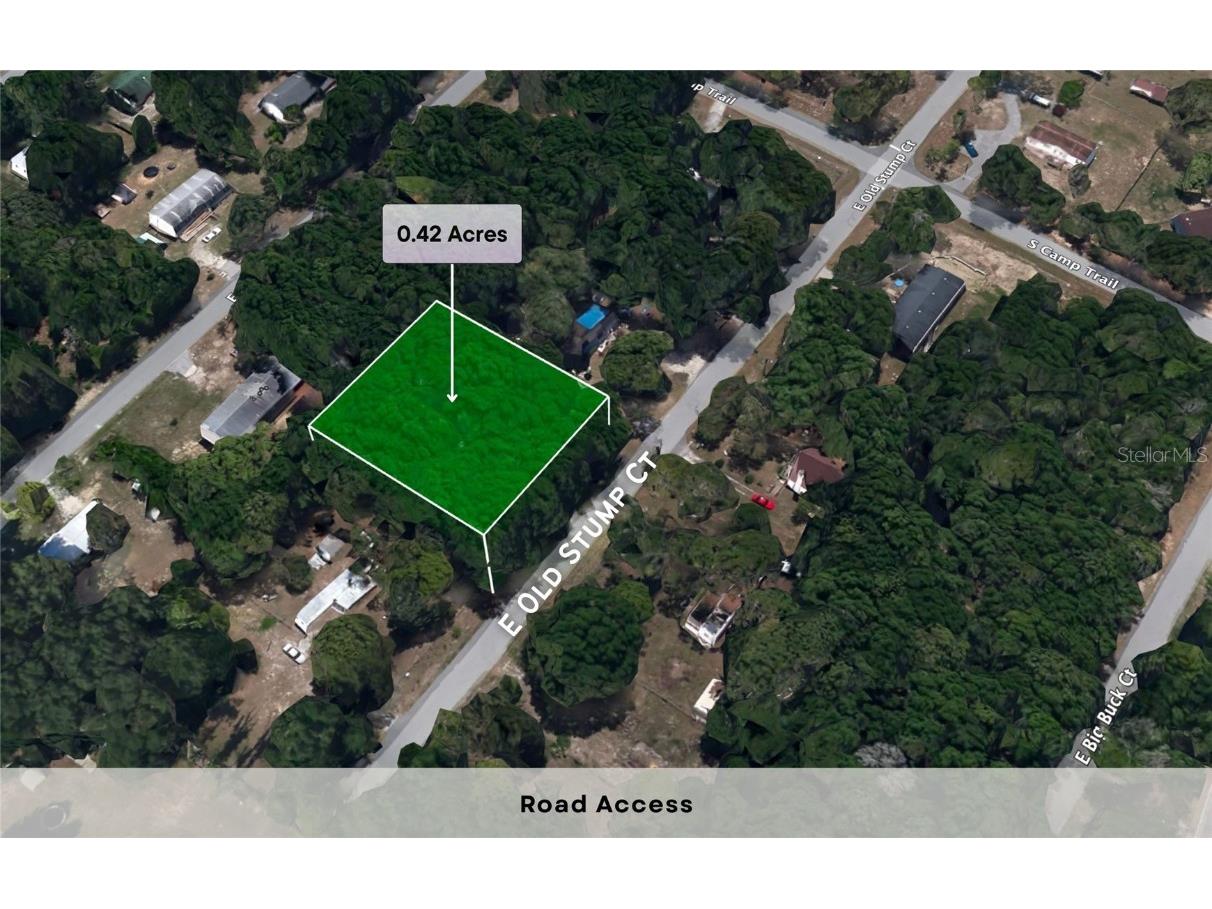 5356 E Old Stump Court Inverness FL 34452 OM700337 image1
