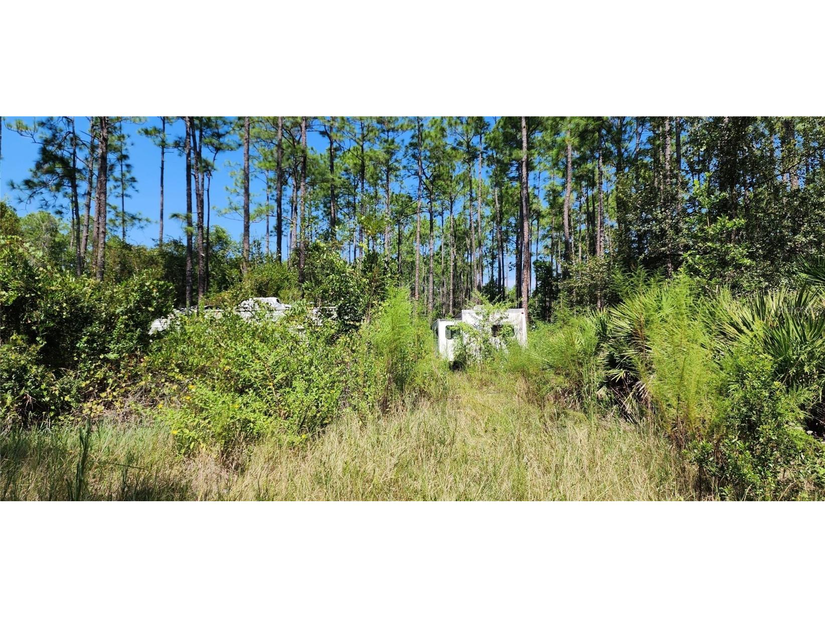 5356 Nutwood Avenue Bunnell FL 32110 FC294789 image1