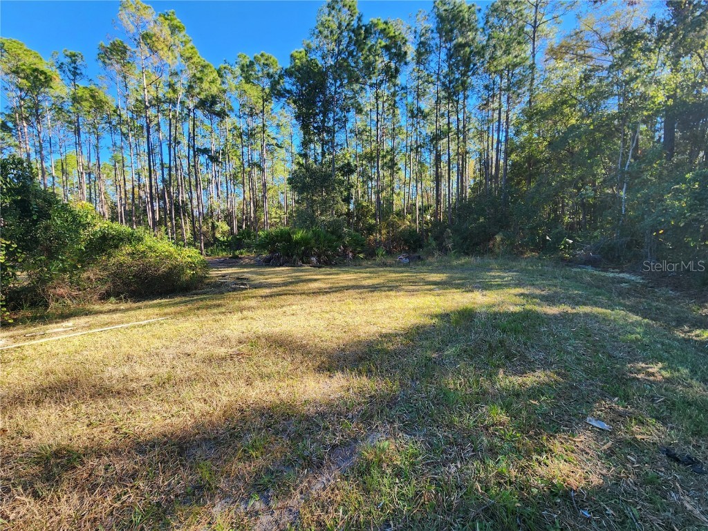 5356 Nutwood Avenue Bunnell FL 32110 FC305224 image1