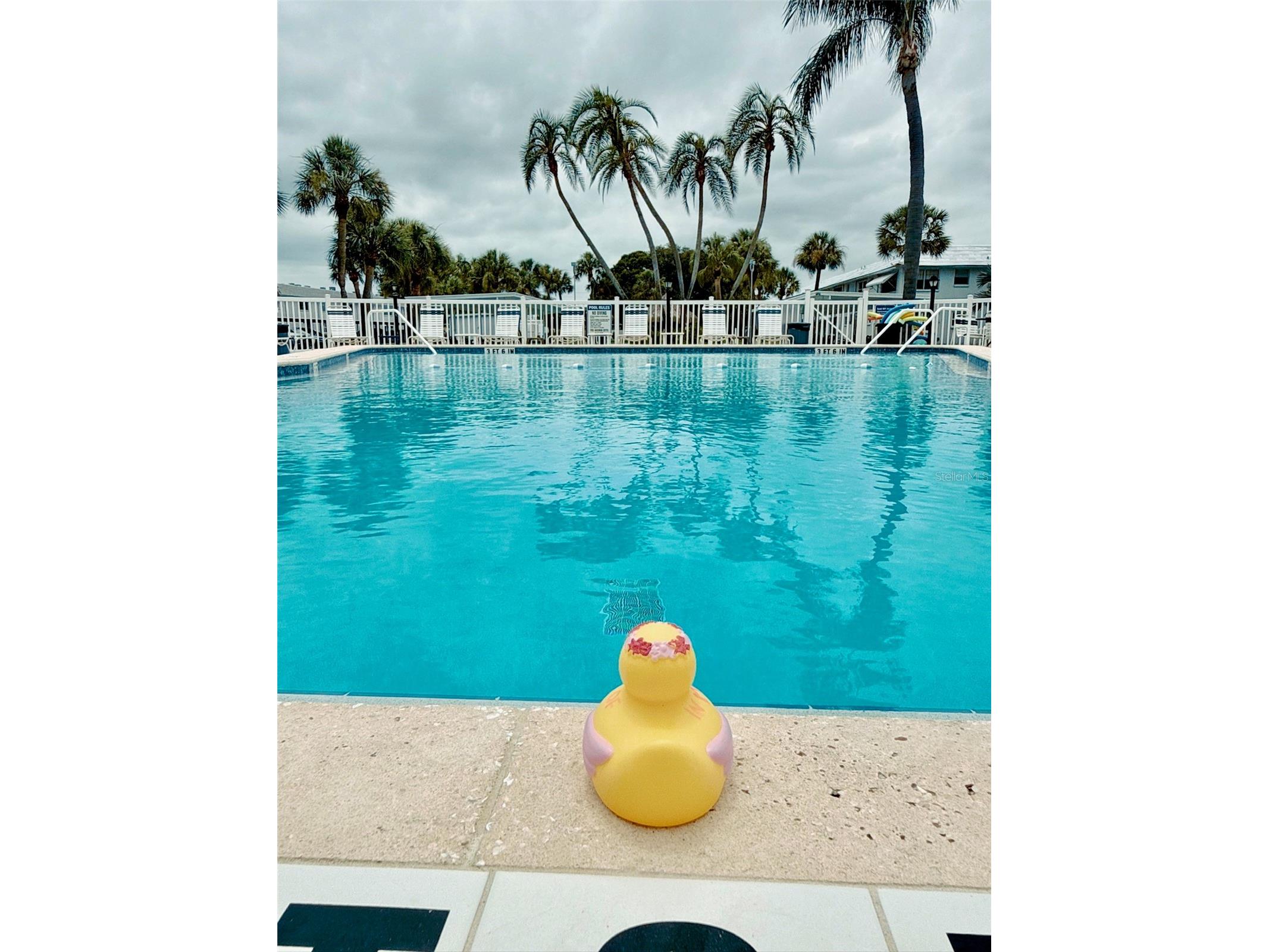 5357 81st Street N #15 Saint Petersburg FL 33709 TB8518919 image37