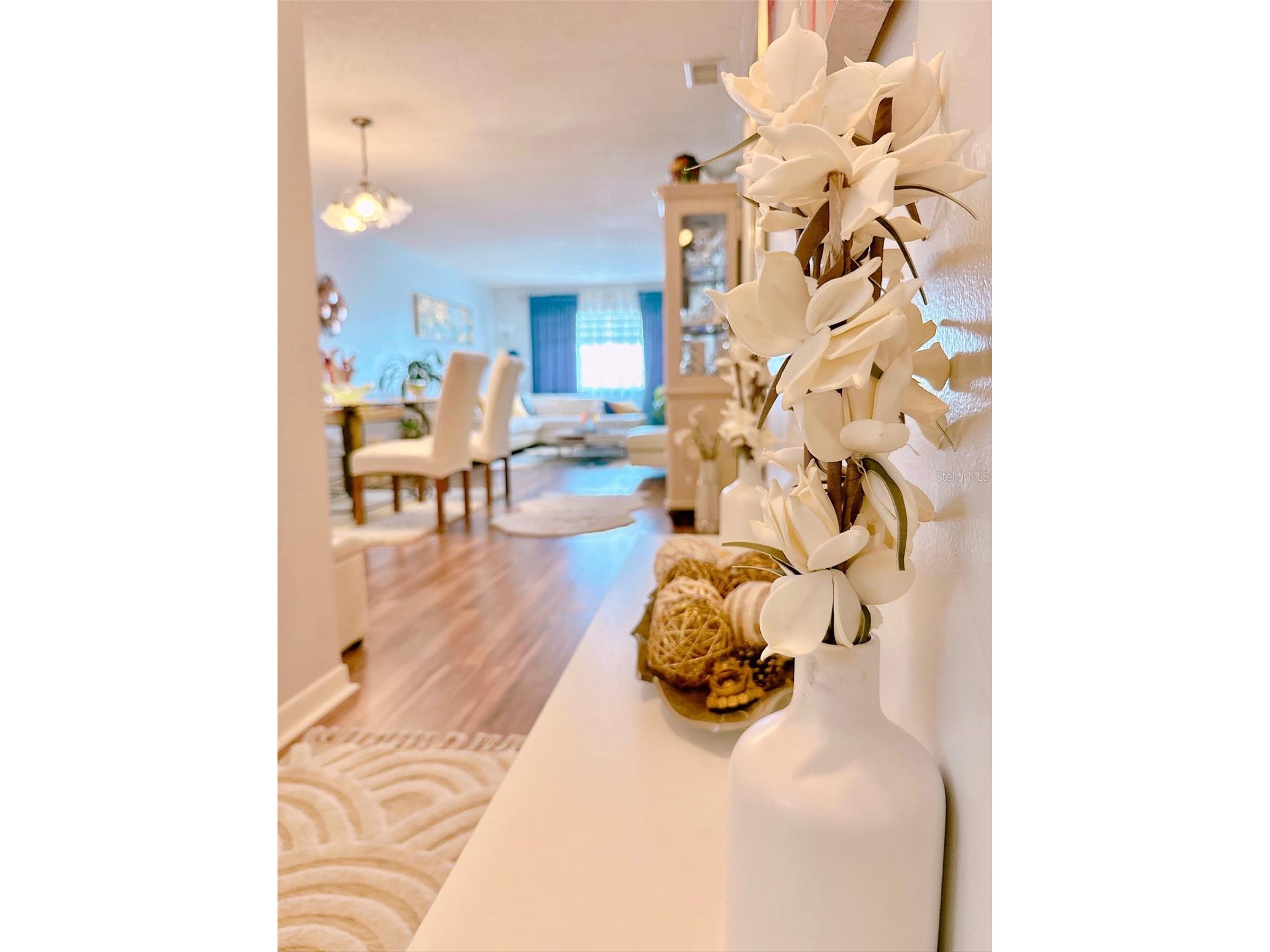 5357 81st Street N #15 Saint Petersburg FL 33709 TB8518919 image5
