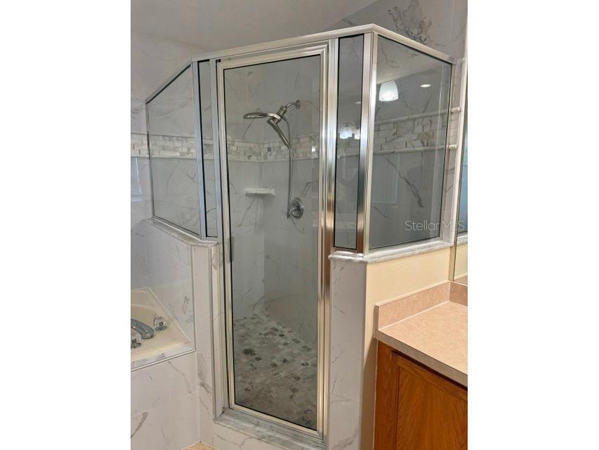 5359 Dahlia Reserve Drive Kissimmee FL 34758 S5138661 image38