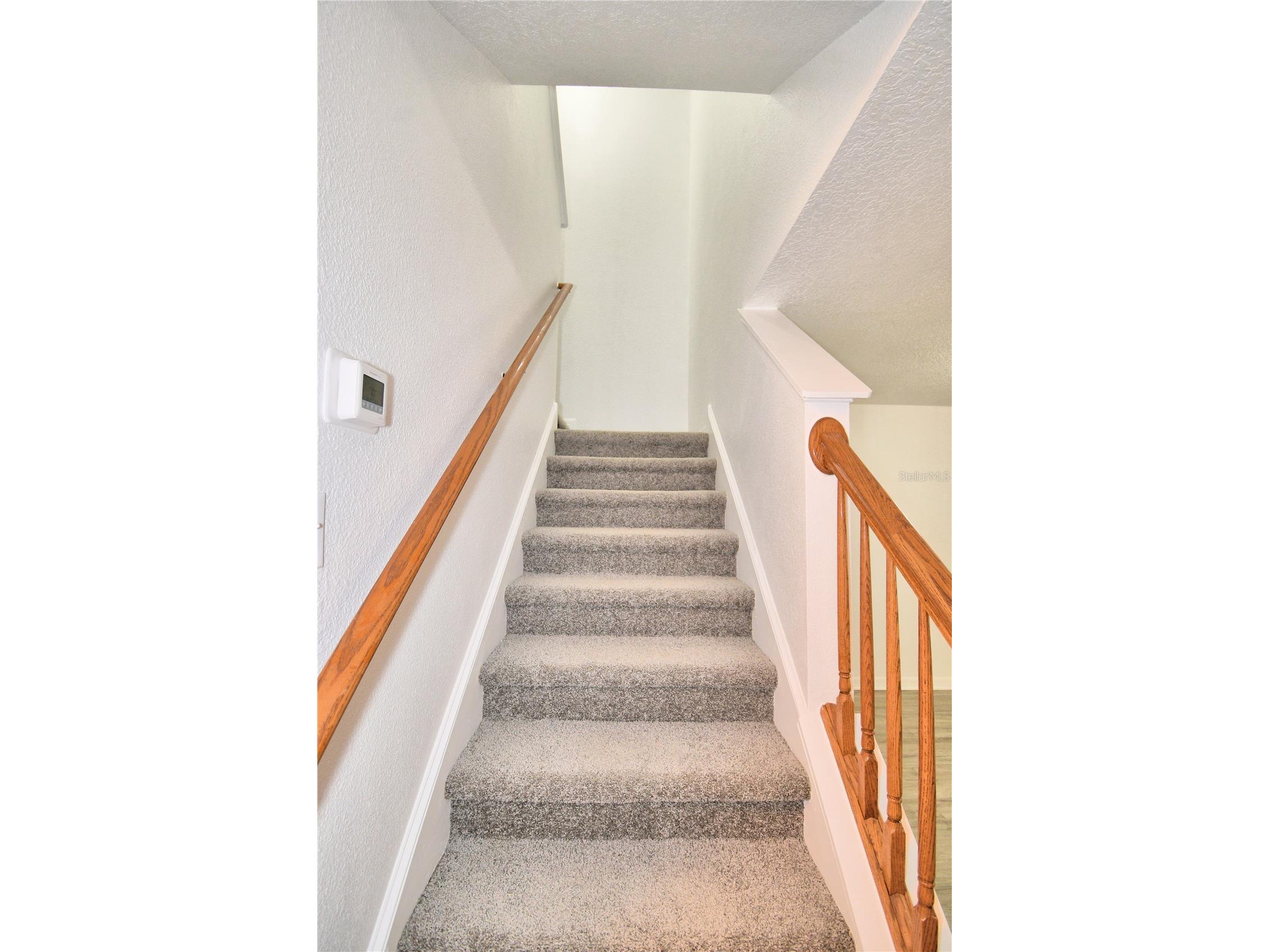 5359 River Rock Road Lakeland FL 33809 P4937085 image26