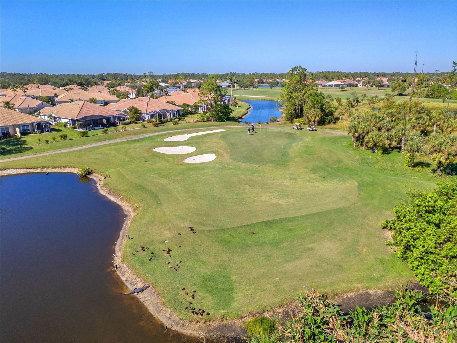 5359 White Ibis Drive North Port FL 34287 C7522332 image46