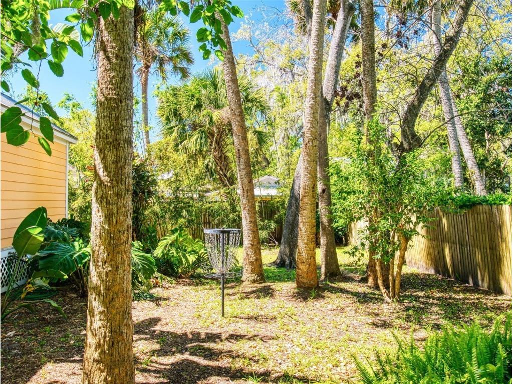 536 Faulkner Street New Smyrna Beach FL 32168 NS1084317 image52