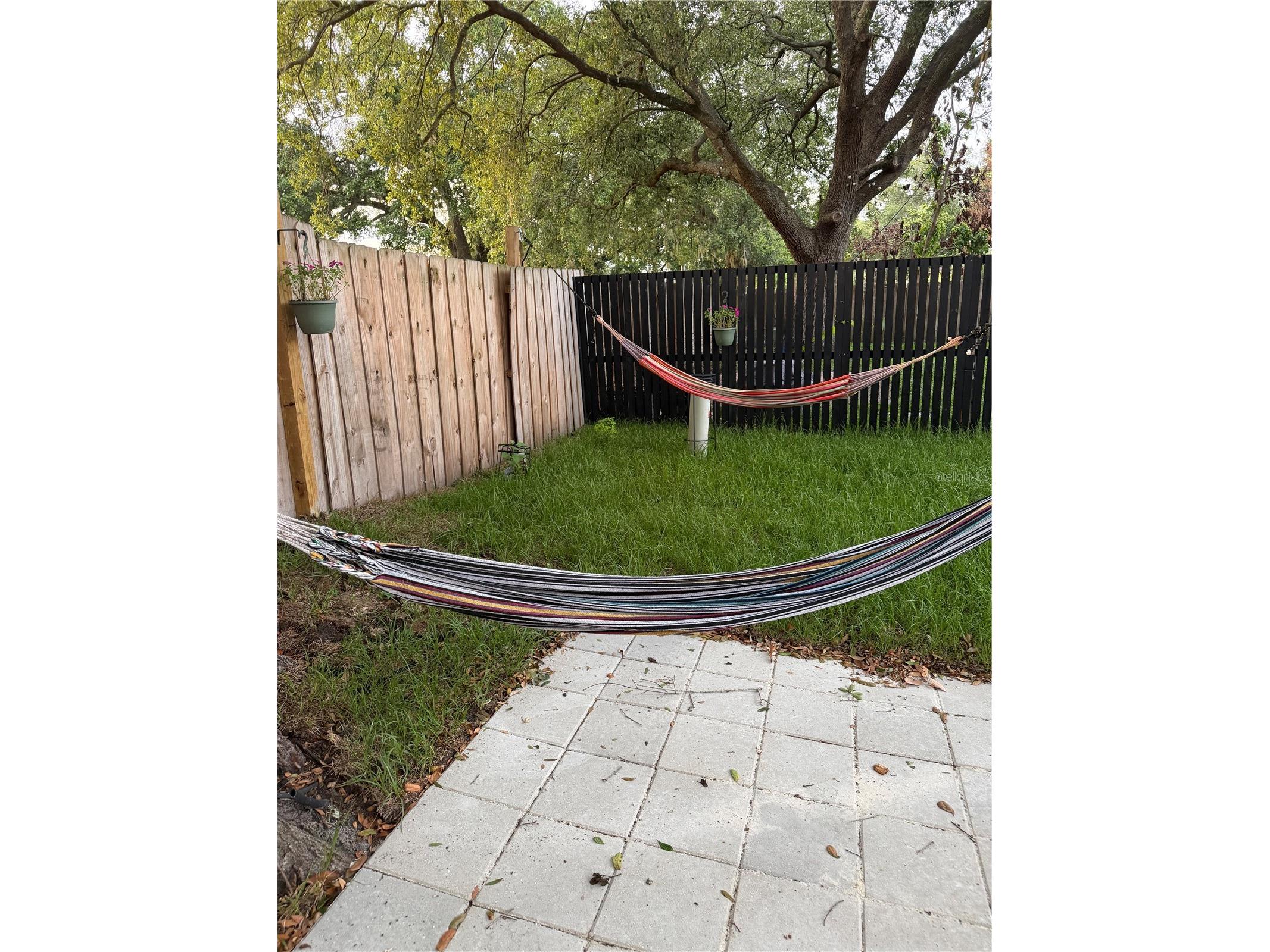 536 Hibiscus Way #7B Orlando FL 32807 O6415150 image41