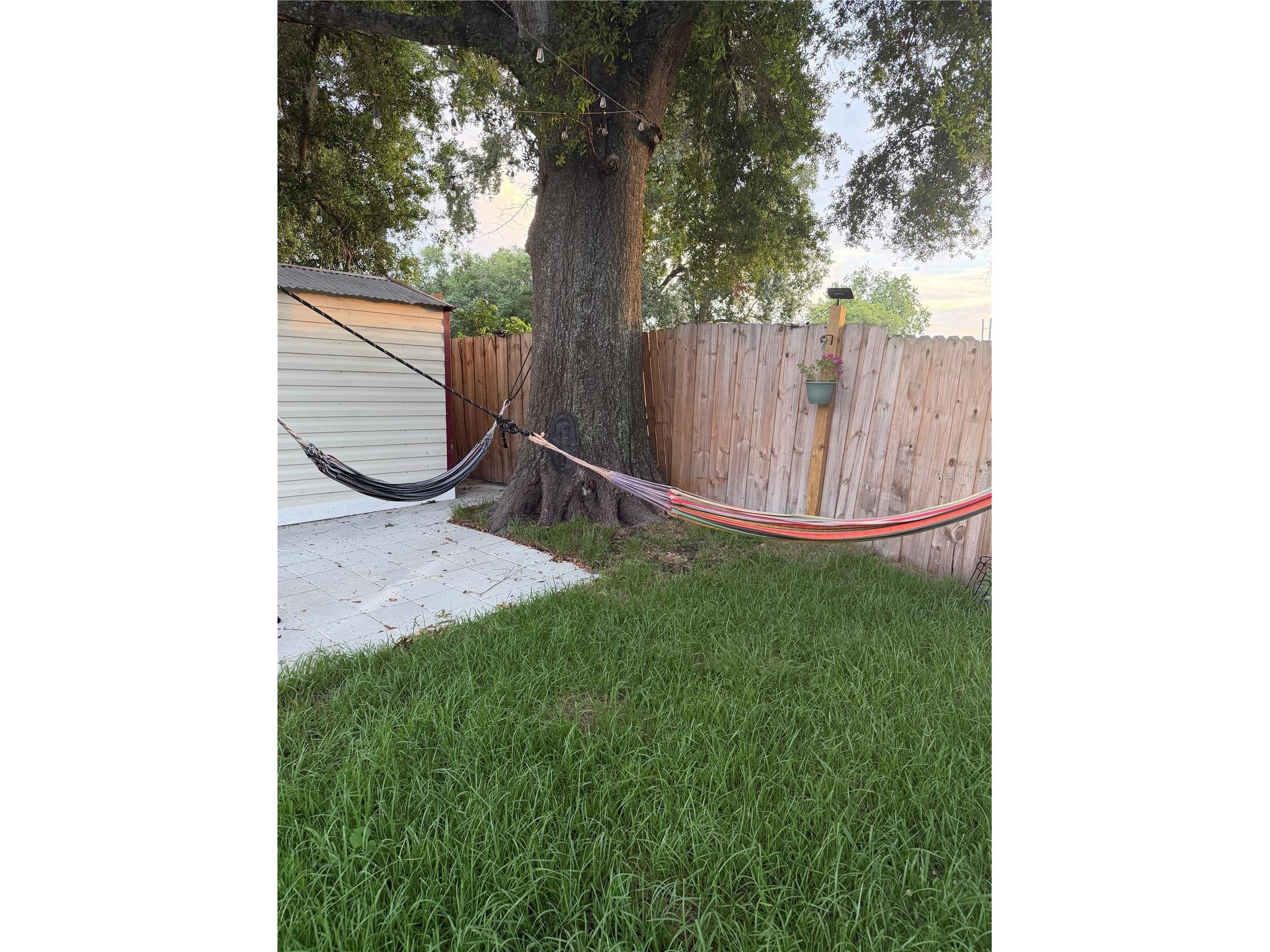 536 Hibiscus Way #7B Orlando FL 32807 O6415150 image45