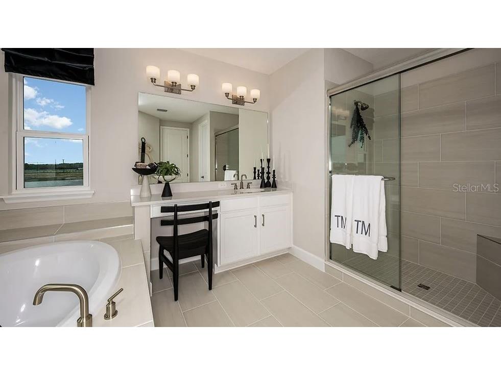 536 Moon Shell Circle New Smyrna Beach FL 32168 O6301661 image20