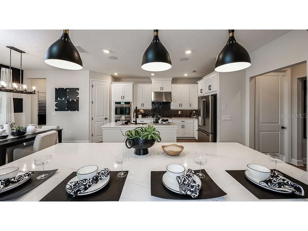 536 Moon Shell Circle New Smyrna Beach FL 32168 O6301661 image33