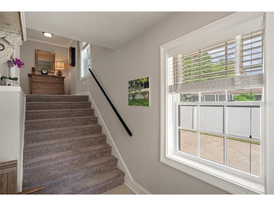 536 NW 7th Avenue Crystal River FL 34428 OM700556 image4