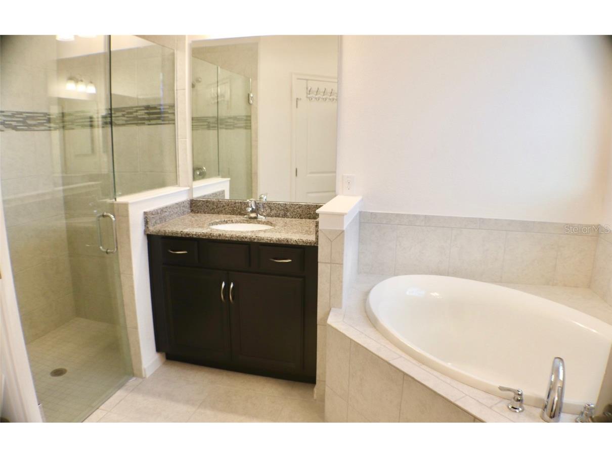 536 Sapphire Drive Davenport FL 33837 S5137070 image10