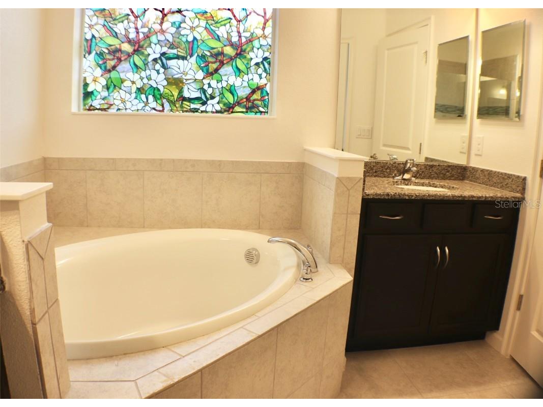 536 Sapphire Drive Davenport FL 33837 S5137070 image11