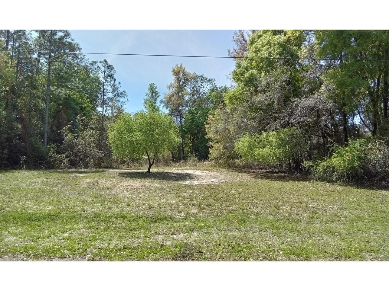 536 W Eridani Court Citrus Springs FL 34434 OM679465 image1