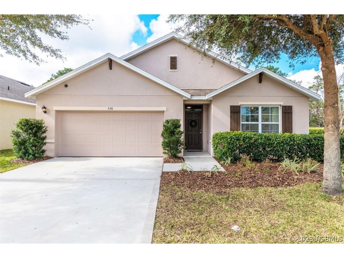 536 White Coral Lane New Smyrna Beach FL 32168 NS1073519 image1