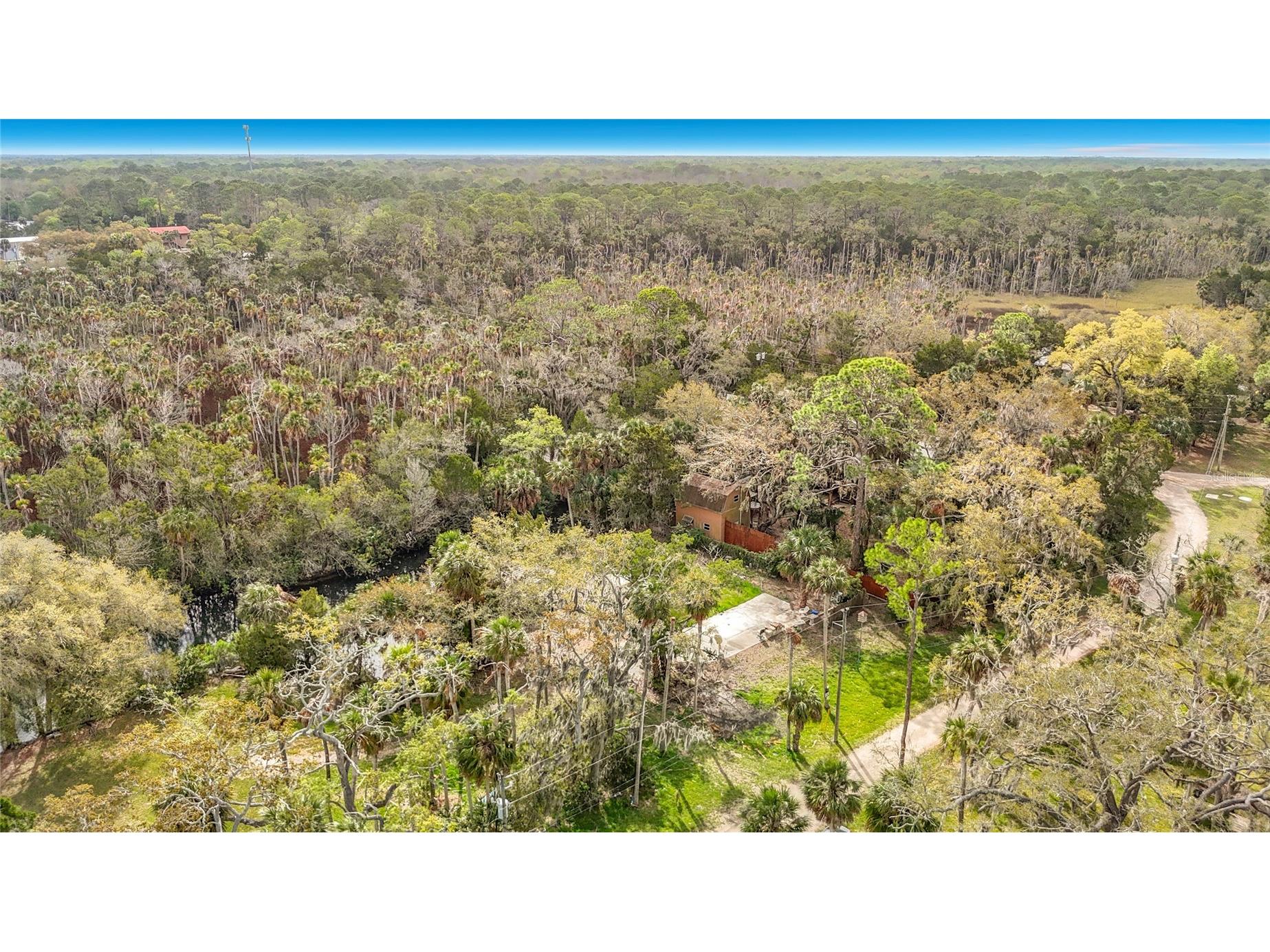 5360 Felker Drive Weeki Wachee FL 34607 L4960516 image9