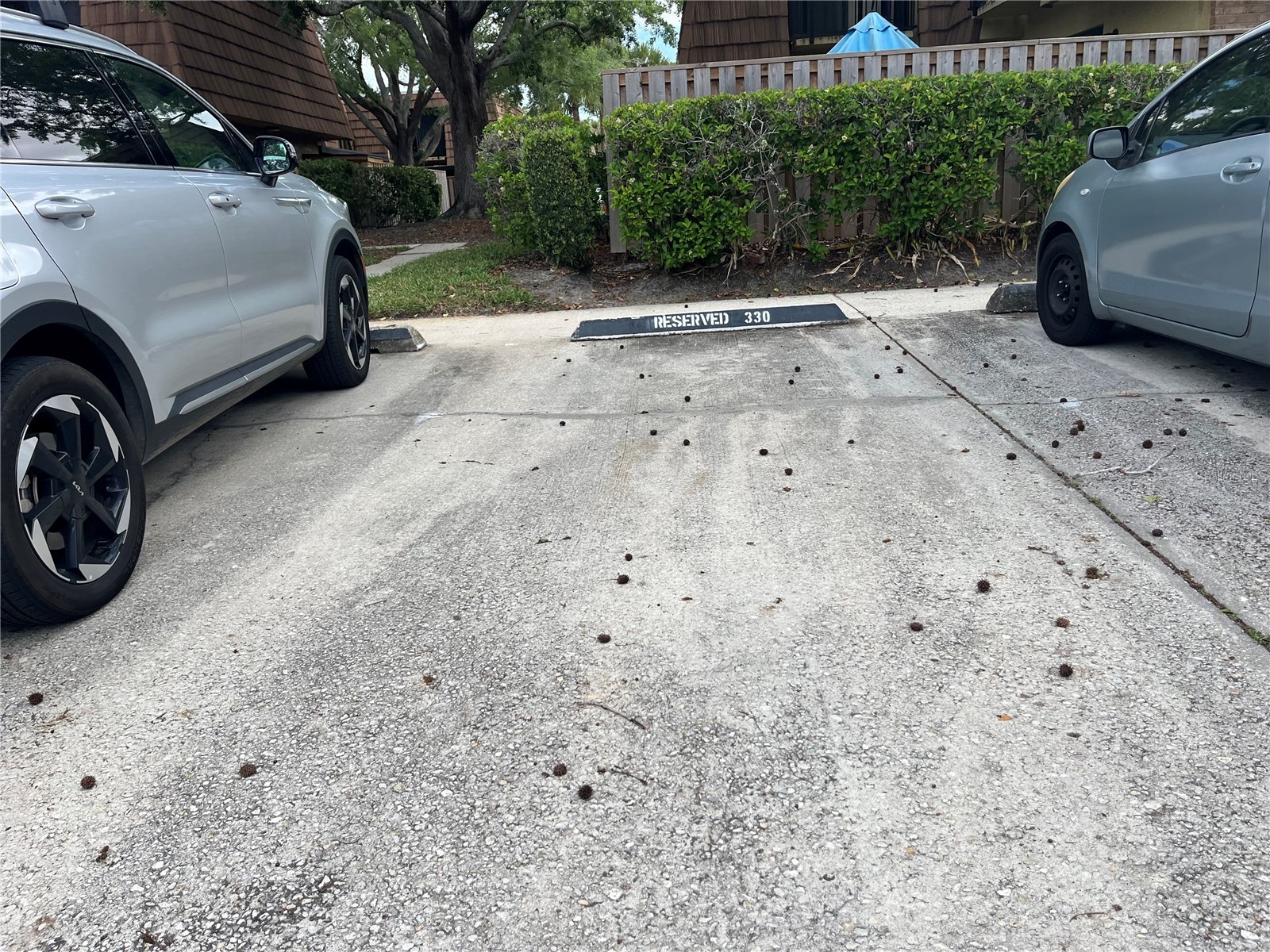 5361 Elm Court #330 Orlando FL 32811 O6400314 image20