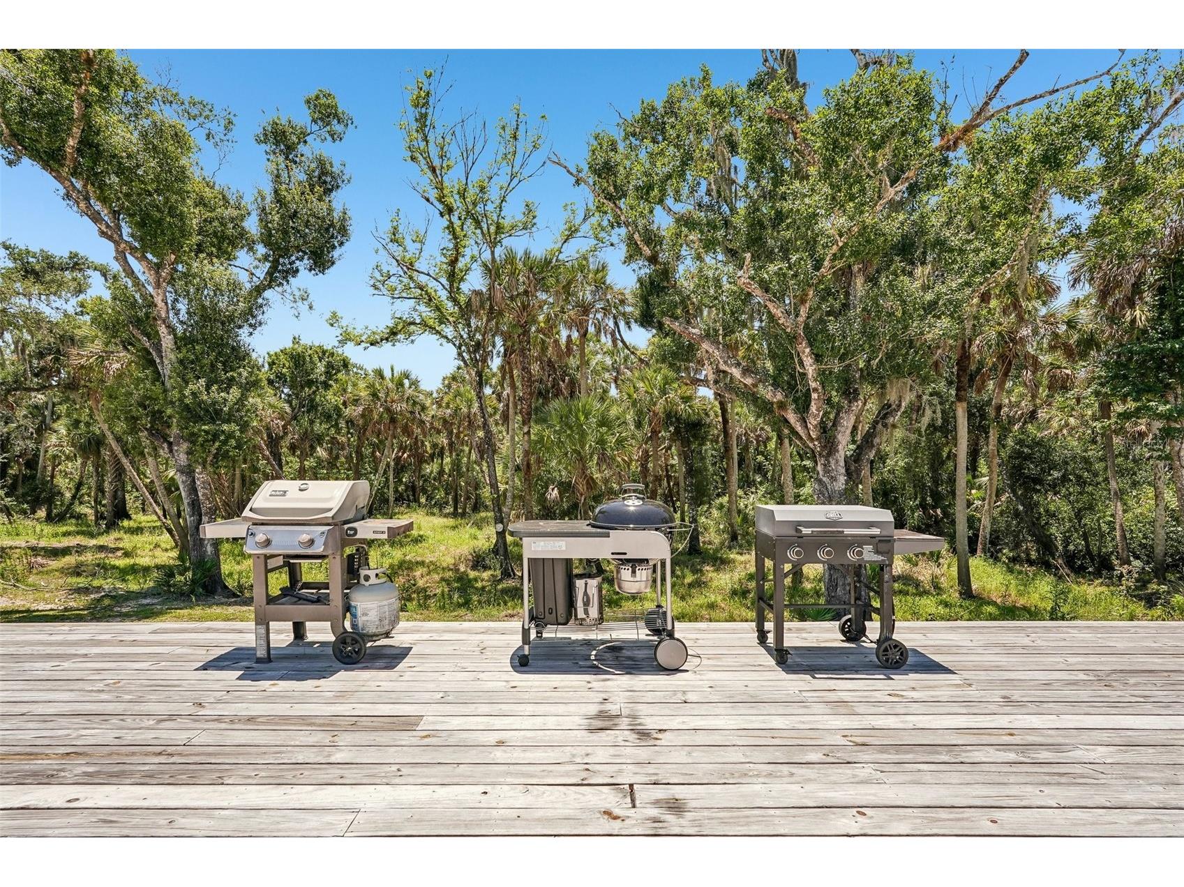 5361 Myakka Valley Trail Sarasota FL 34241 - HOWARD CREEK A4689422 image41