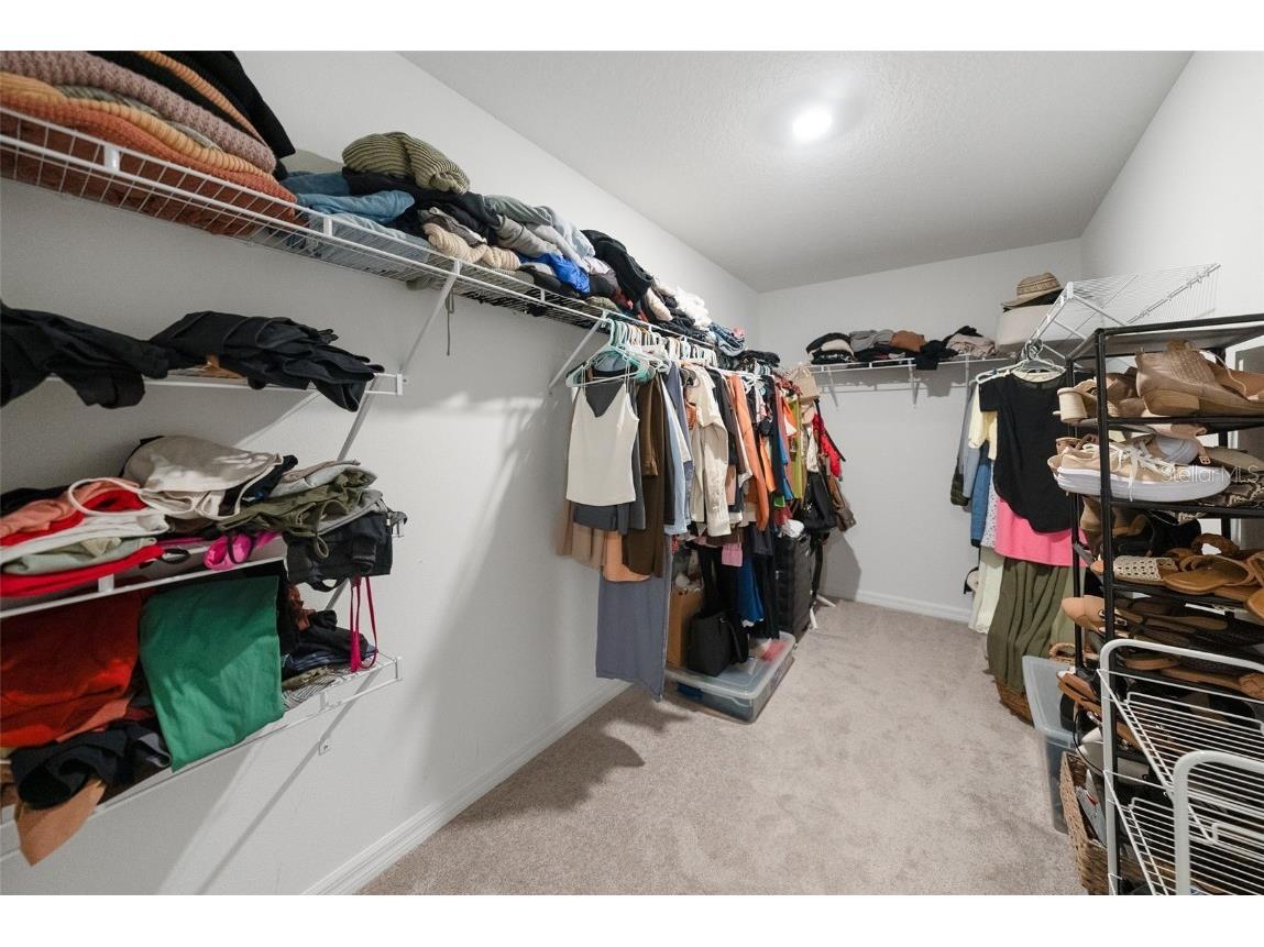 5362 Blue Horizon Way Wimauma FL 33598 TB8403064 image21