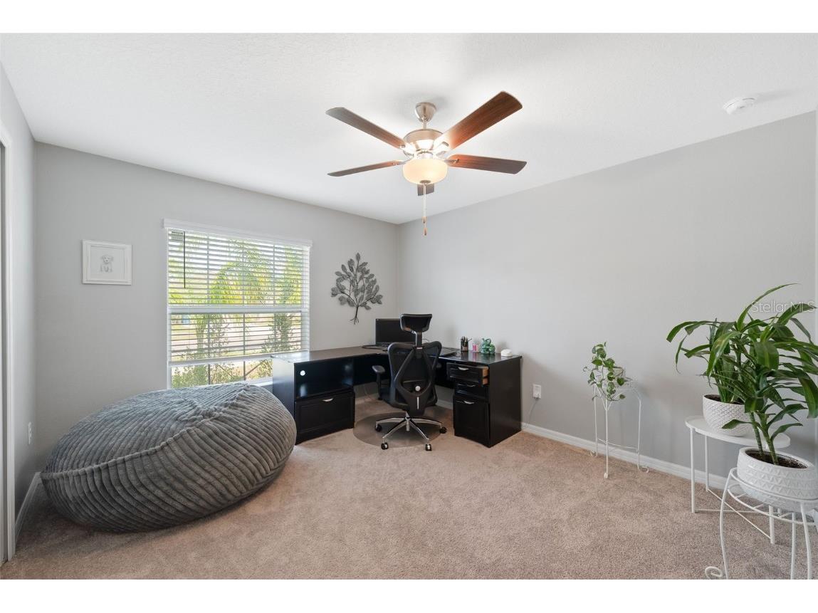 5362 Blue Horizon Way Wimauma FL 33598 TB8403064 image27