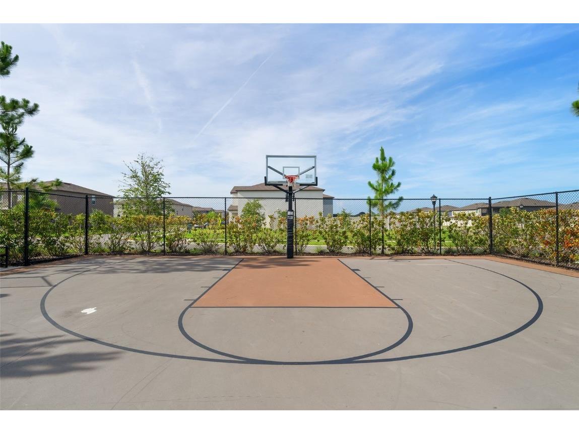 5362 Blue Horizon Way Wimauma FL 33598 TB8403064 image38