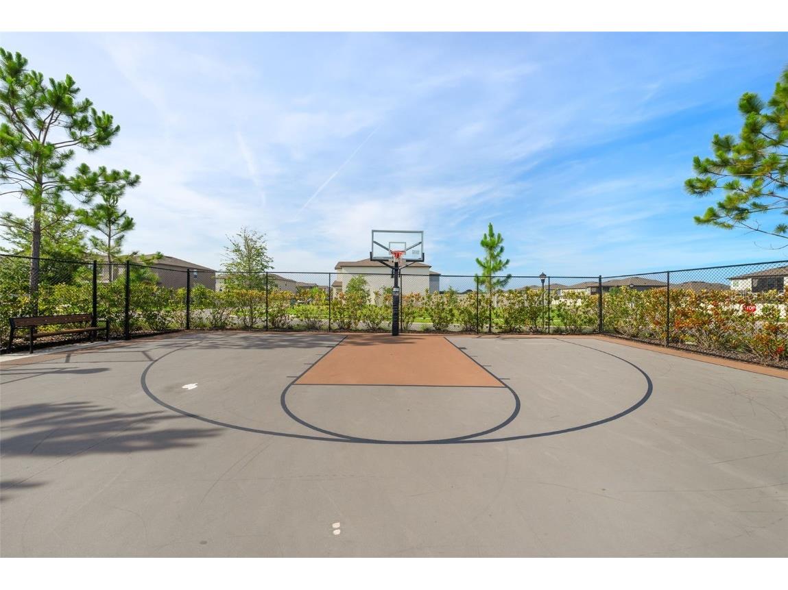 5362 Blue Horizon Way Wimauma FL 33598 TB8403064 image39