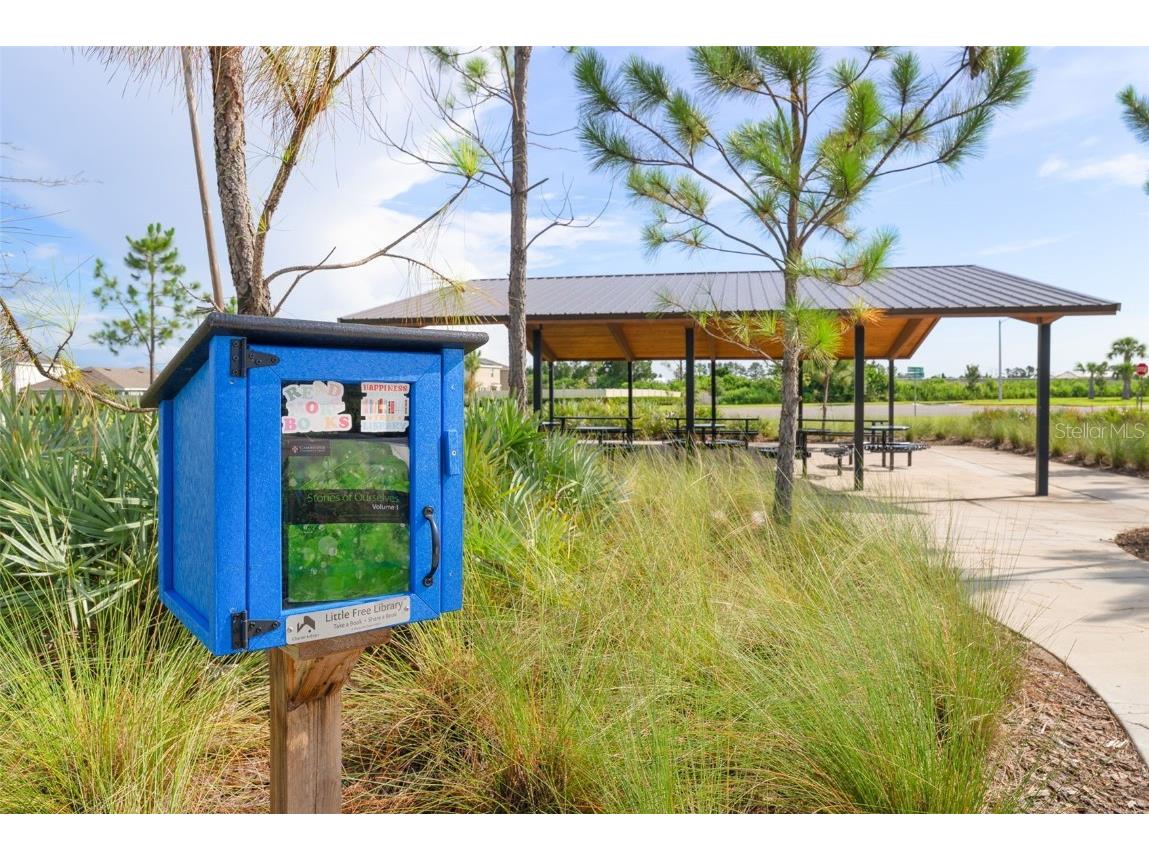 5362 Blue Horizon Way Wimauma FL 33598 TB8403064 image48