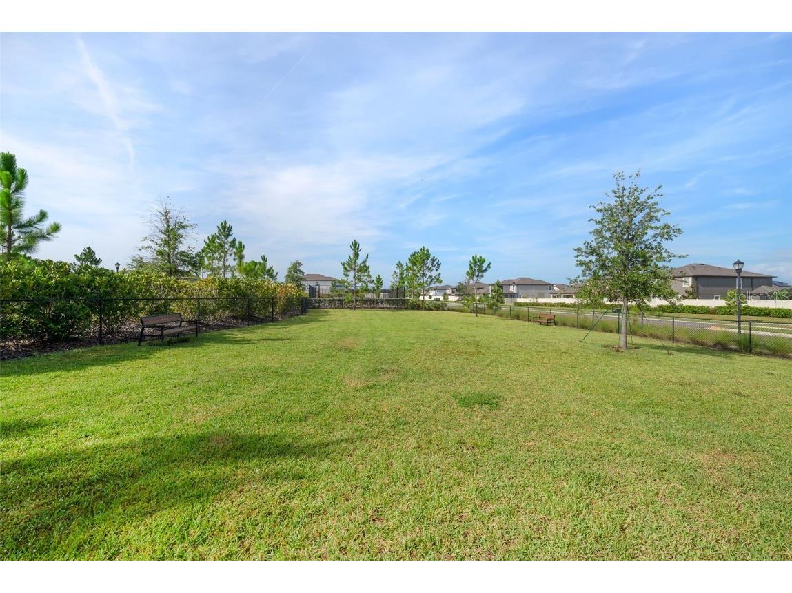 5362 Blue Horizon Way Wimauma FL 33598 TB8403064 image53