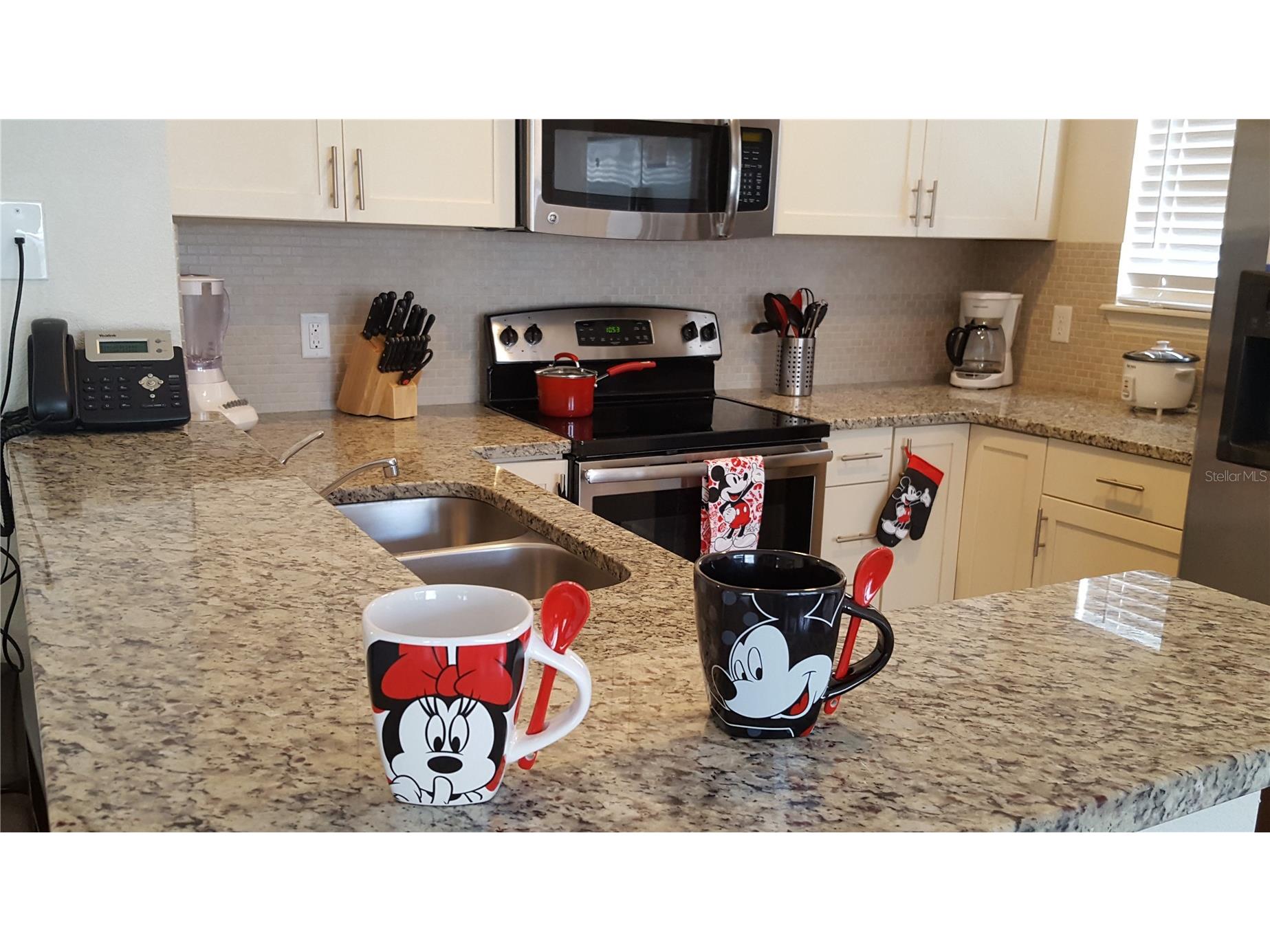 5362 Diplomat Court #108 Kissimmee FL 34746 O6374538 image11