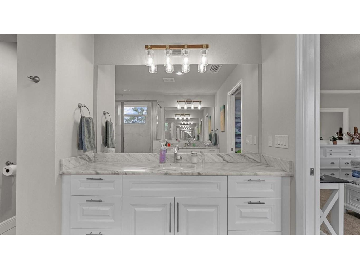 5362 Riverwalk Preserve Drive New Port Richey FL 34653 TB8403745 image17