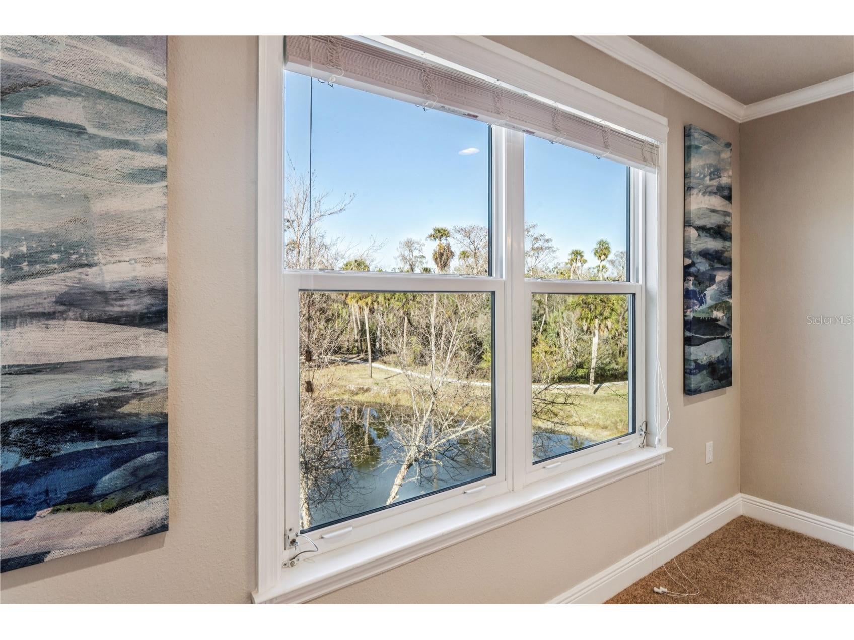 5362 Riverwalk Preserve Drive New Port Richey FL 34653 W7882592 image27