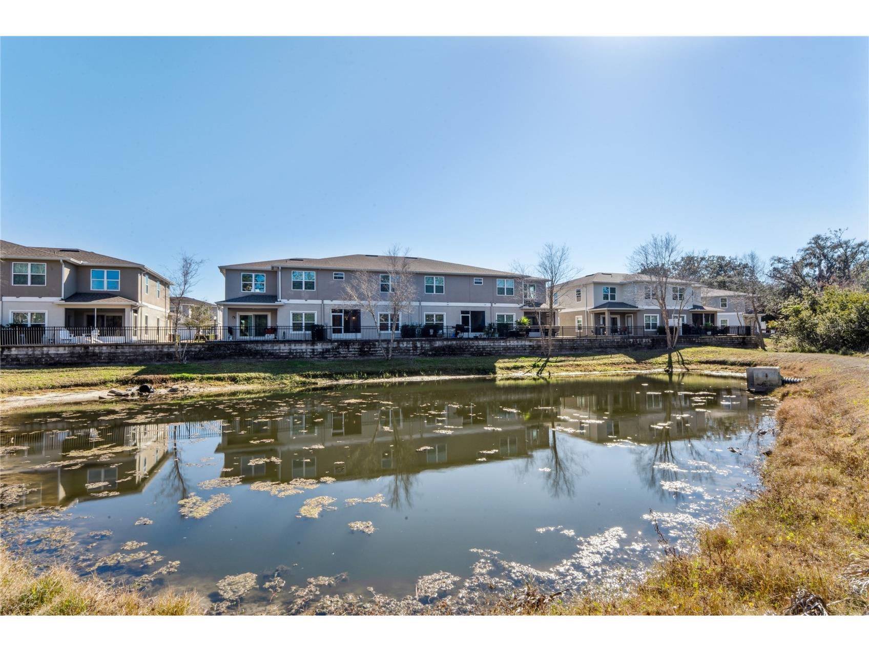 5362 Riverwalk Preserve Drive New Port Richey FL 34653 W7882592 image46