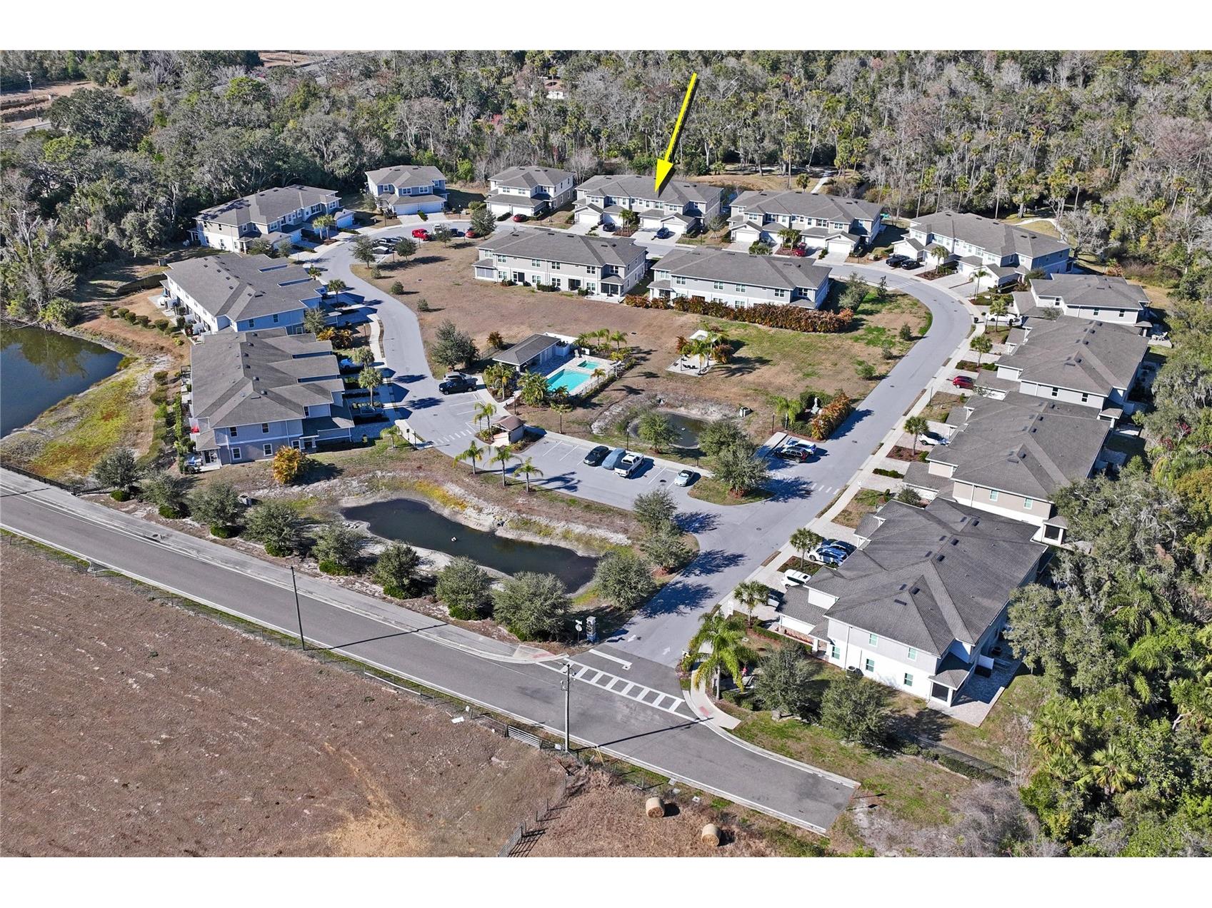 5362 Riverwalk Preserve Drive New Port Richey FL 34653 W7882592 image47