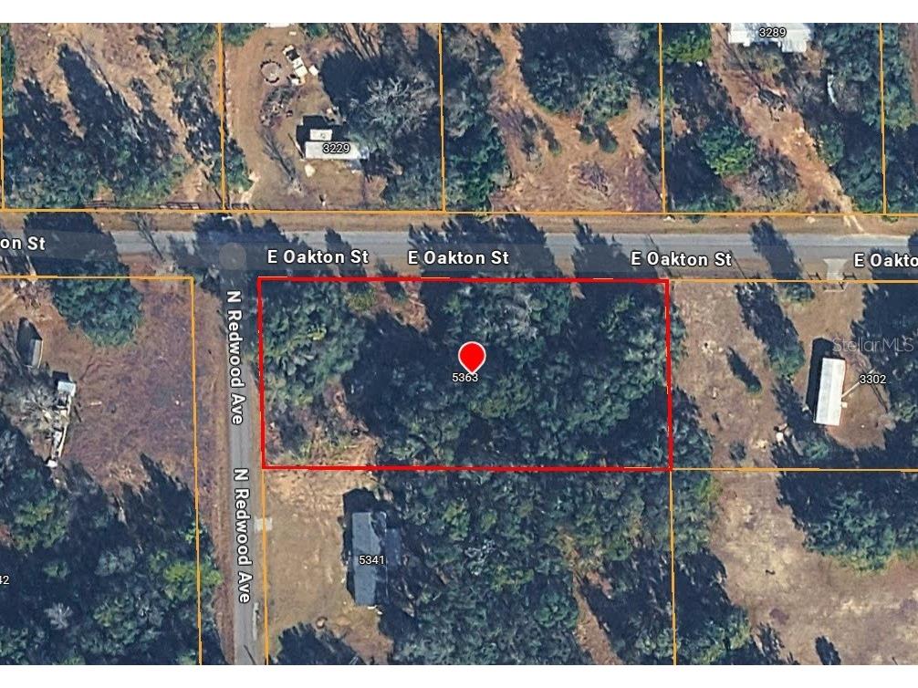 5363 N Redwood Avenue Hernando FL 34442 TB8498765 image1