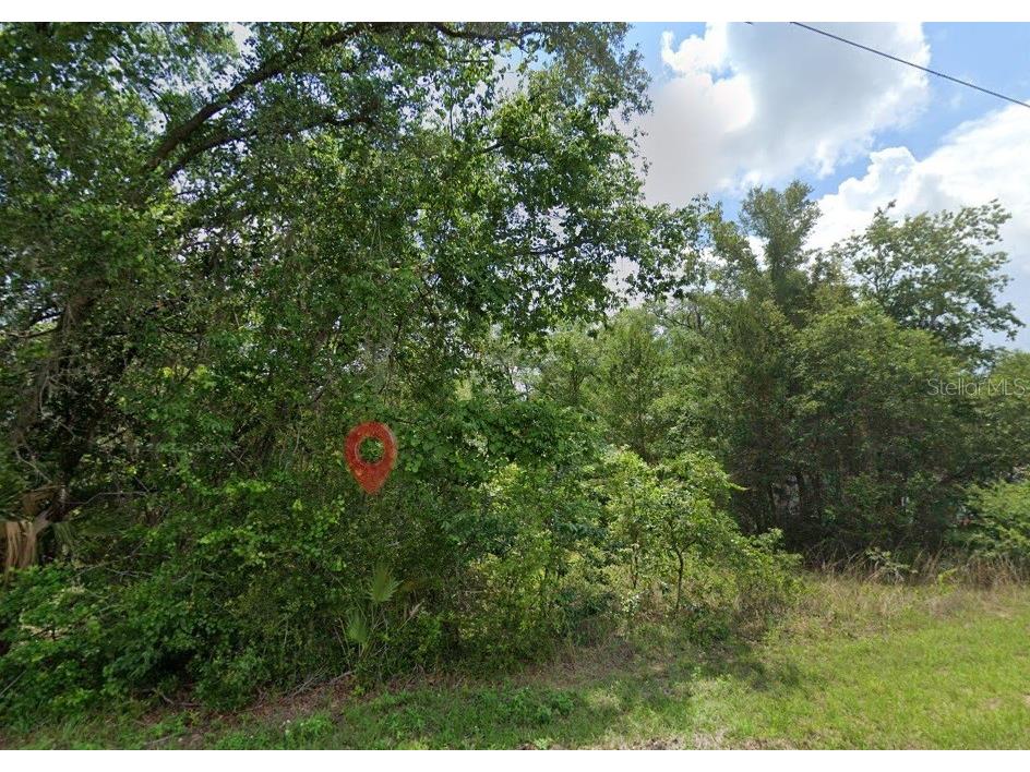 5363 N Redwood Avenue Hernando FL 34442 TB8498765 image2