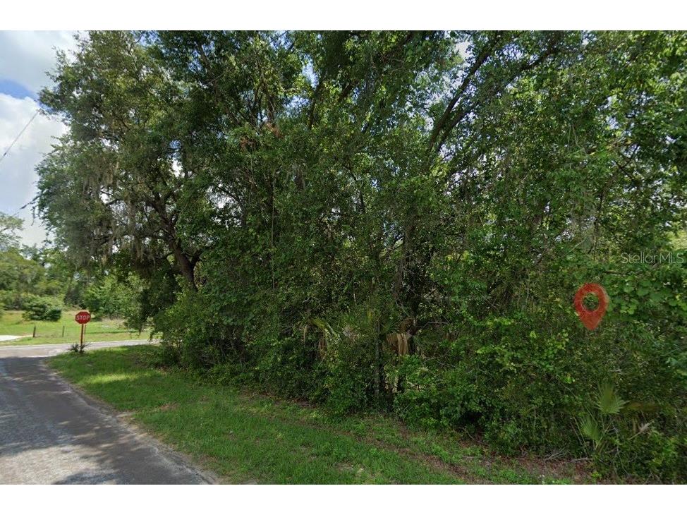 5363 N Redwood Avenue Hernando FL 34442 TB8498765 image3