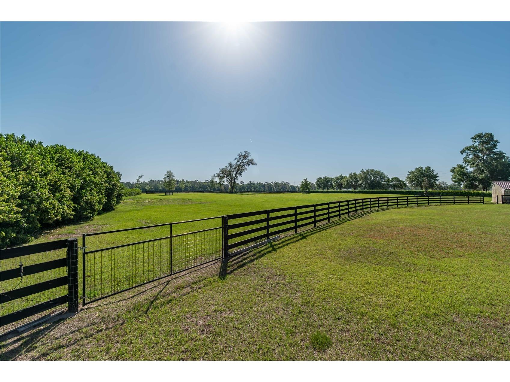 5363 NW 153rd Court Morriston FL 32668 OM698809 image77
