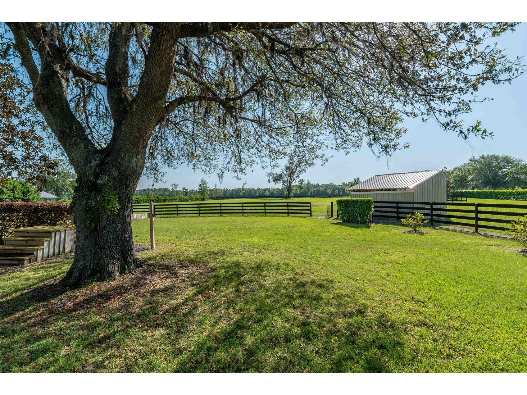 5363 NW 153rd Court Morriston FL 32668 OM698809 image78