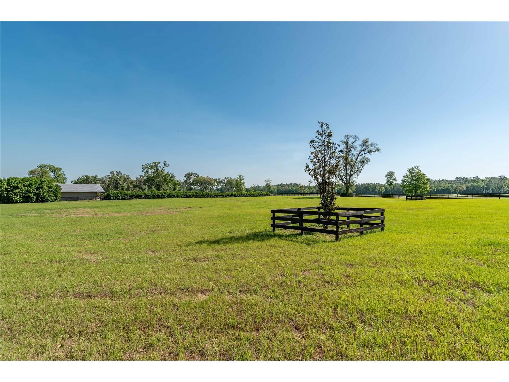 5363 NW 153rd Court Morriston FL 32668 OM698809 image79