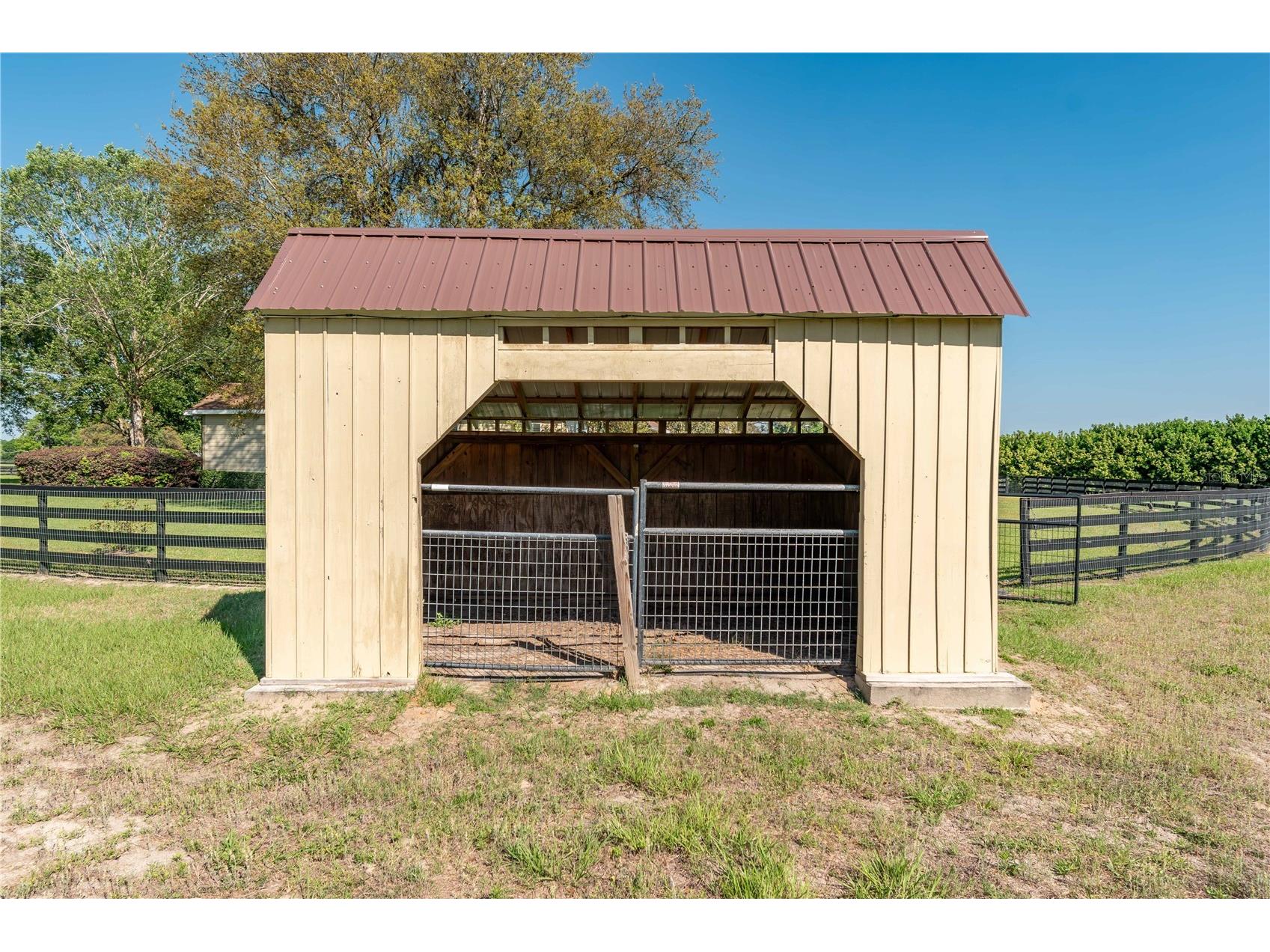 5363 NW 153rd Court Morriston FL 32668 OM698809 image80