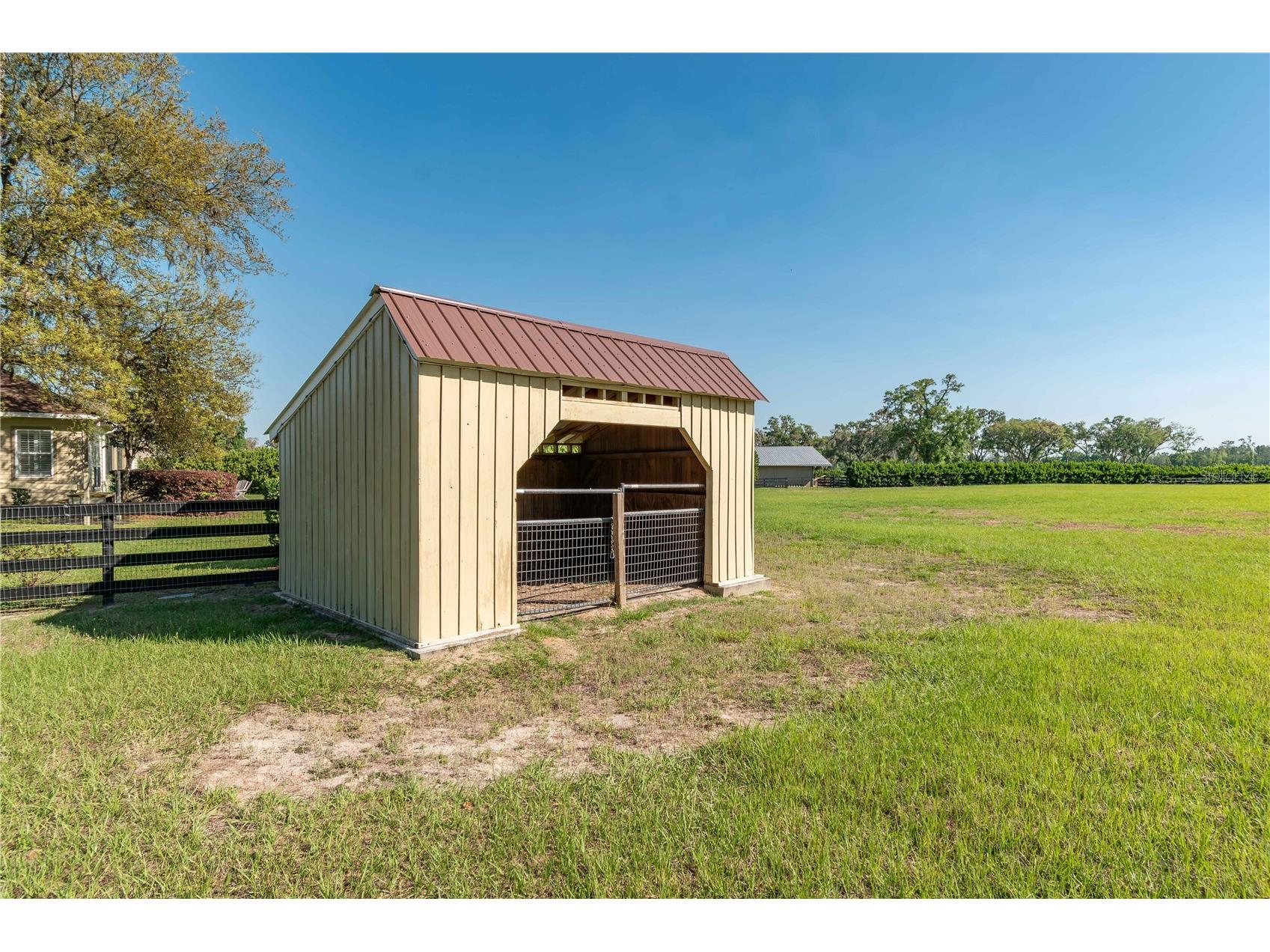 5363 NW 153rd Court Morriston FL 32668 OM698809 image81