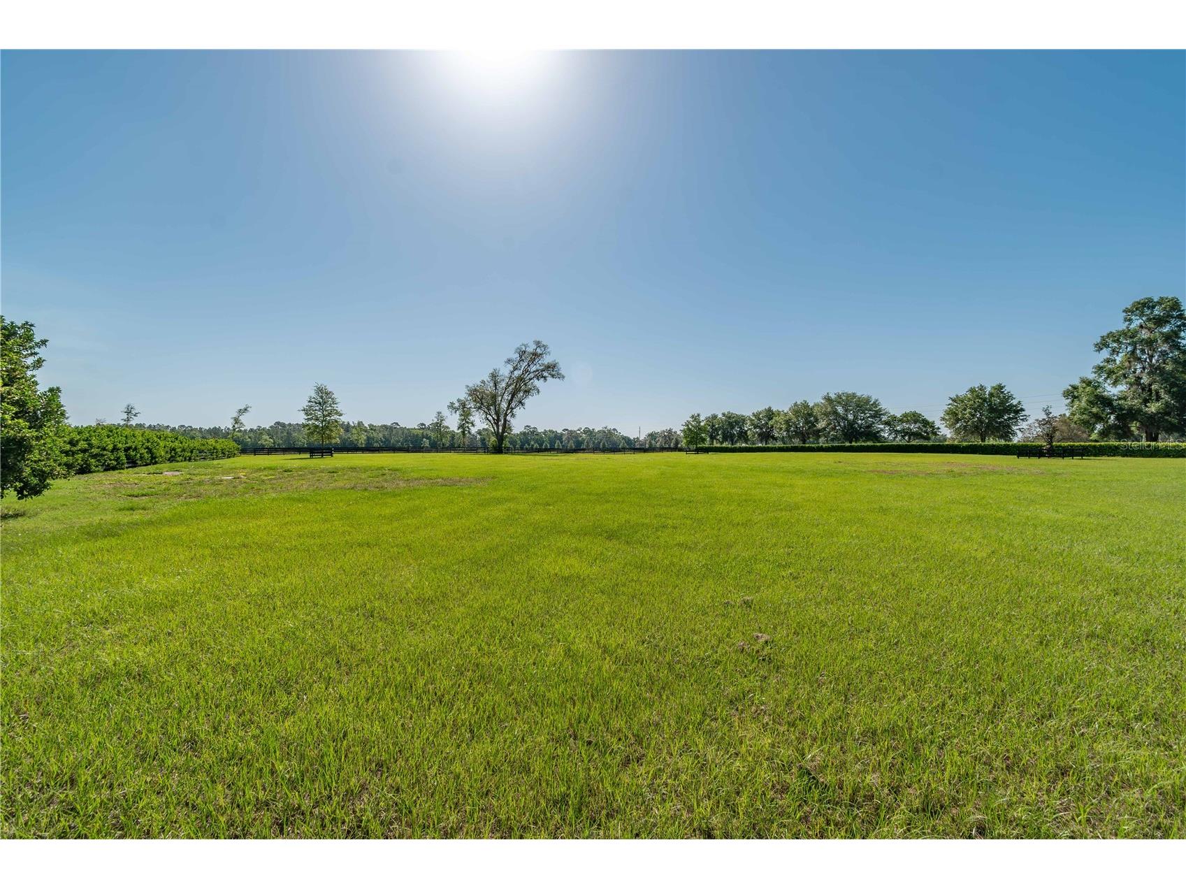 5363 NW 153rd Court Morriston FL 32668 OM698809 image82