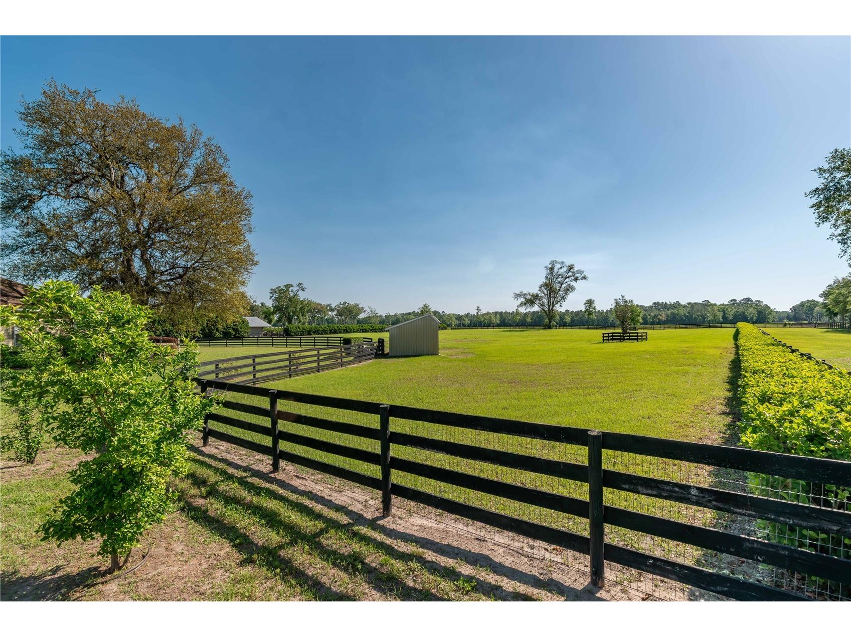 5363 NW 153rd Court Morriston FL 32668 OM698809 image83