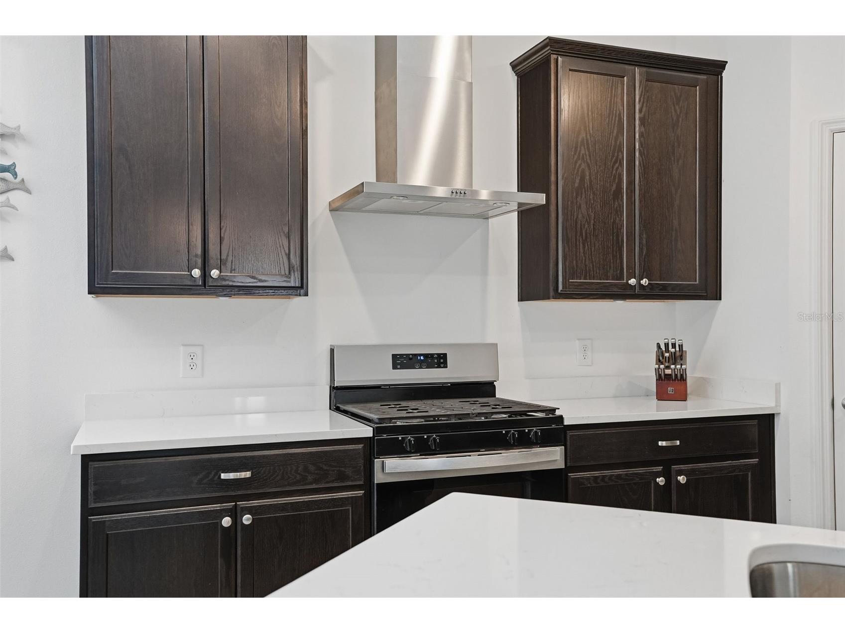 5365 Cappleman Loop Brooksville FL 34601 TB8474381 image12