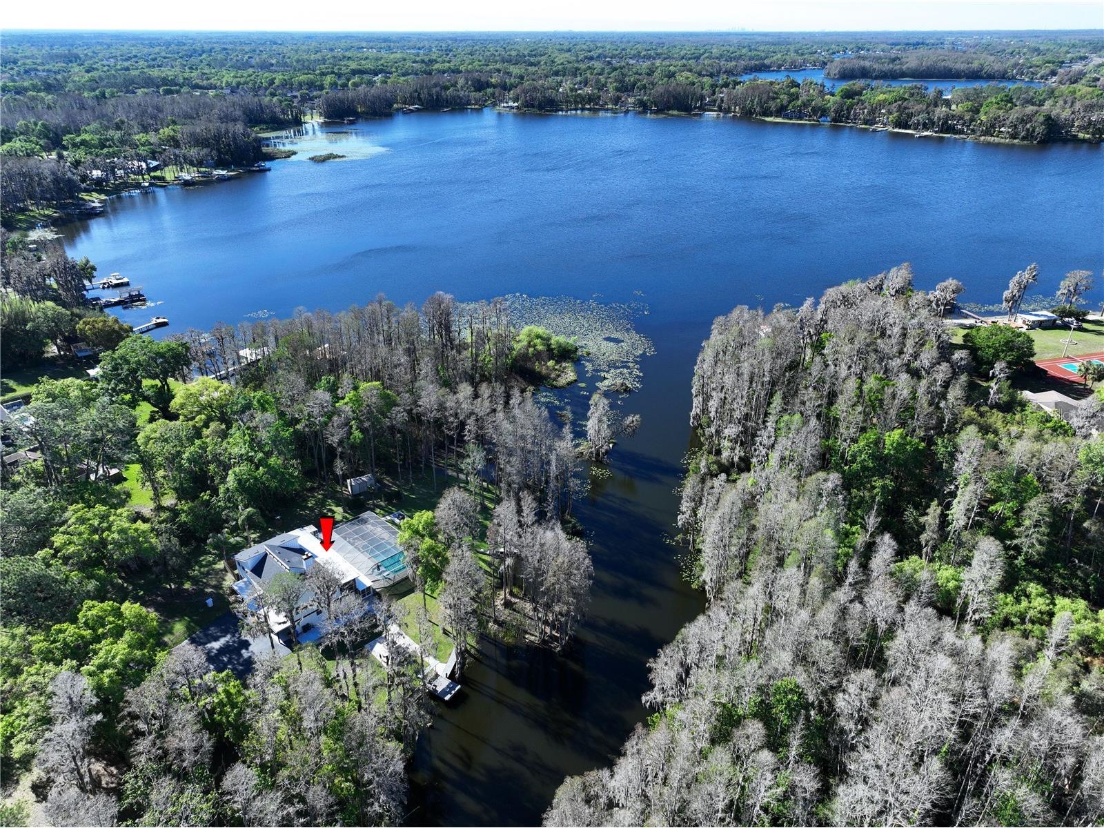 5365 Conner Drive Land O Lakes FL 34639 - King Lake TB8488665 image3