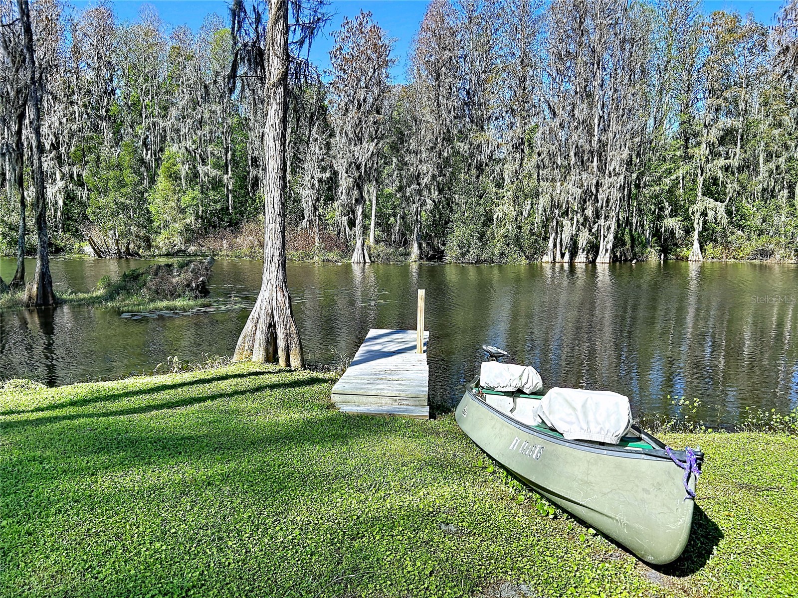 5365 Conner Drive Land O Lakes FL 34639 - King Lake TB8488665 image47