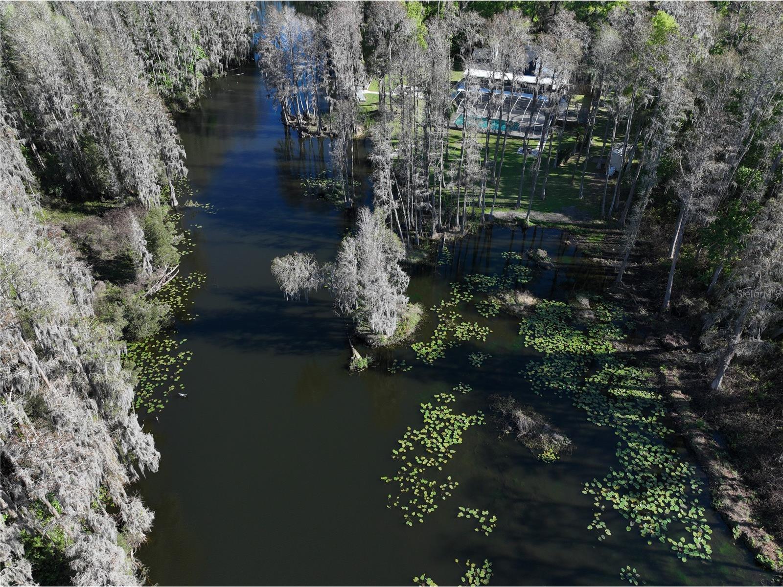 5365 Conner Drive Land O Lakes FL 34639 - King Lake TB8488665 image52