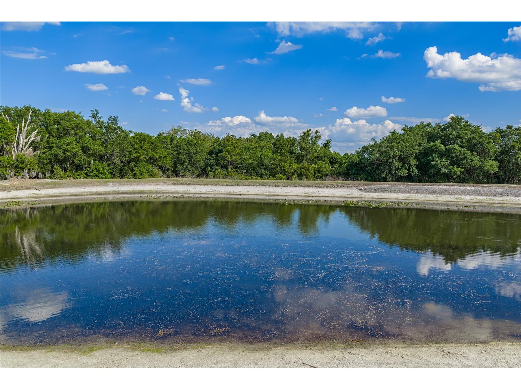 5365 Hogan Lane Winter Haven FL 33884 P4938226 image76