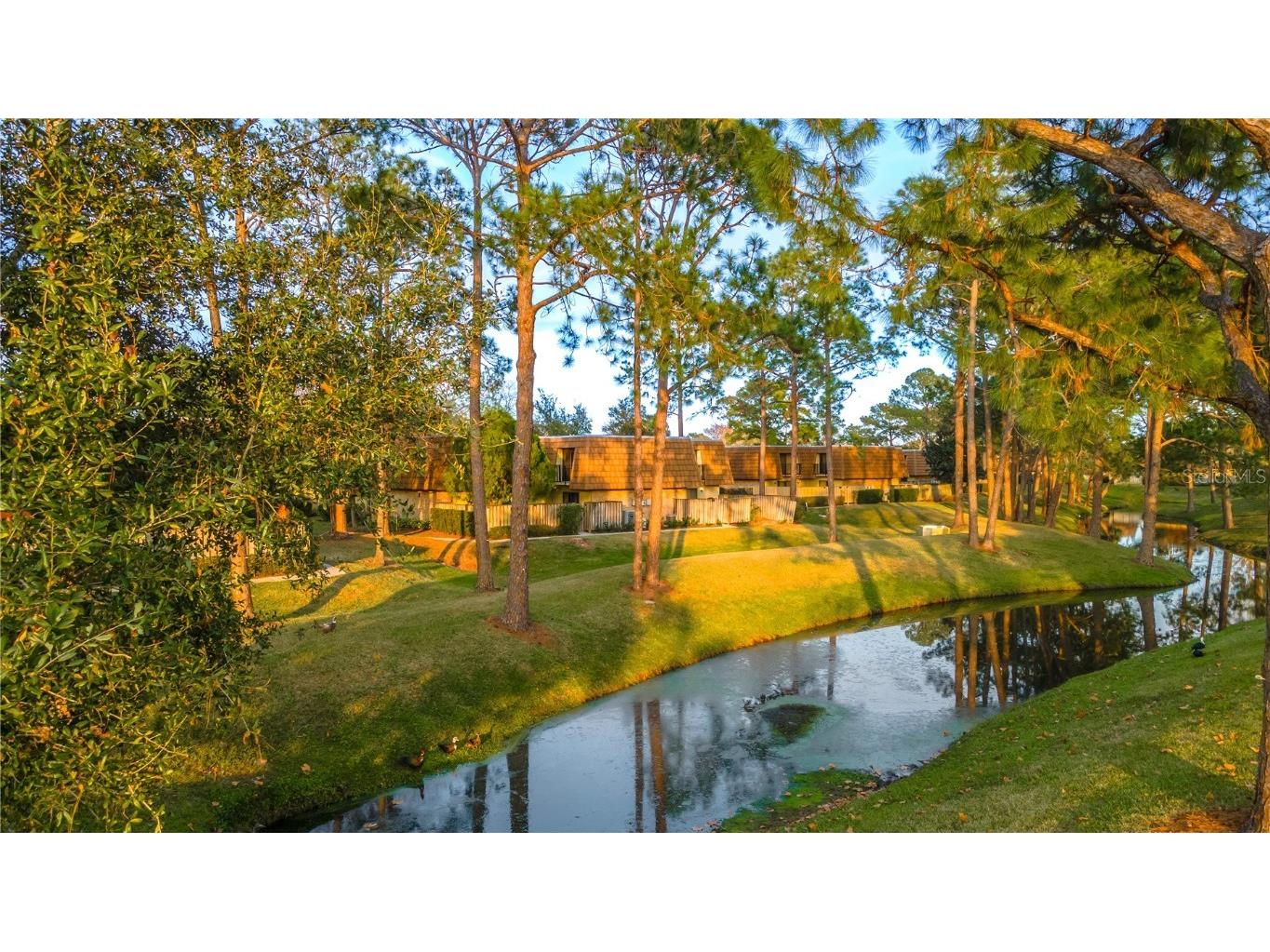 5368 Elm Court #354 Orlando FL 32811 O6274008 image30